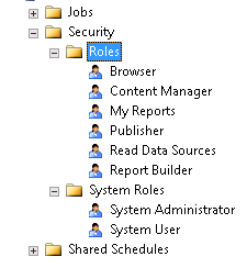 reporting services permissions