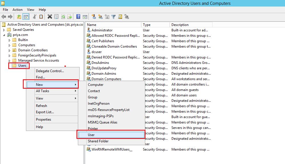Active directory, new user