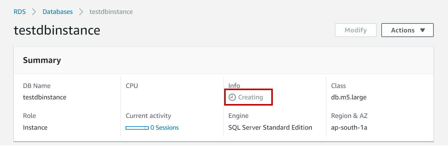 Database instance details