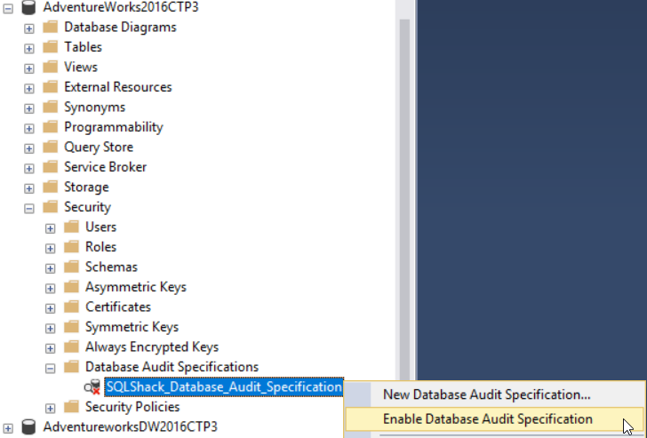 Enable Database Audit Specification