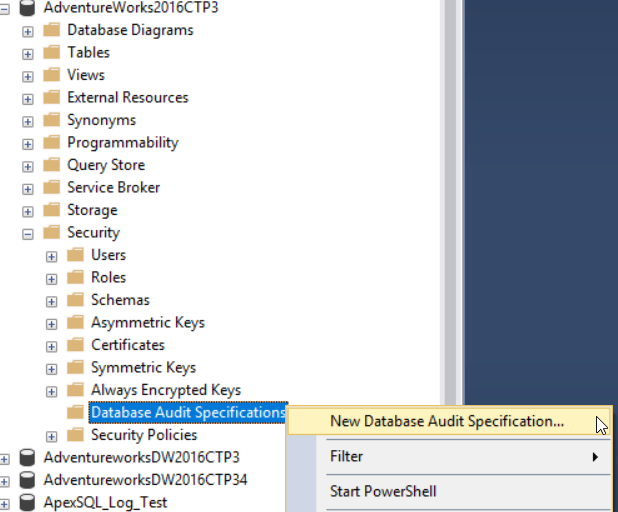 New Database Audit Specification 