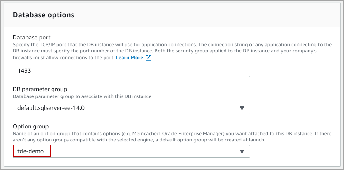 associate option group with Transparent Data Encryption option to the database instance