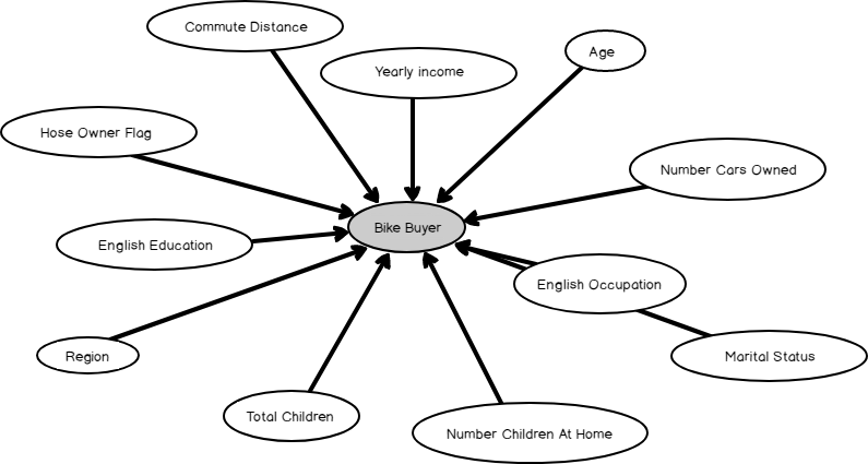 Dependency net work of the Decision tree model.