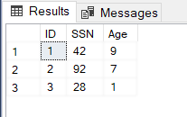 Data Table Showing Output Using Random Mask