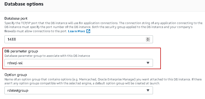 Database options to modify parameter group