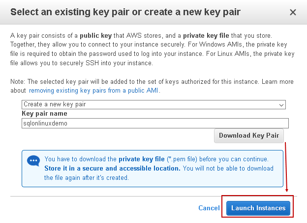 Download key and launch instance