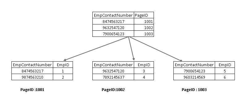 data representation