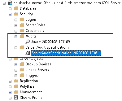 Enabled Audit and Server Audit Specification 