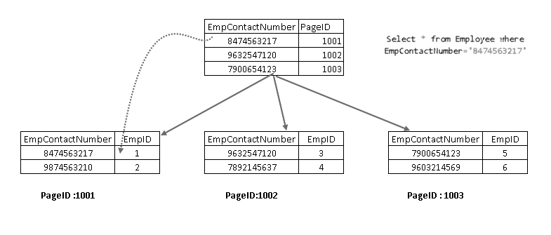 execution of a select statement