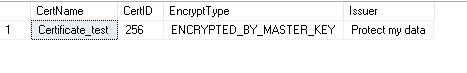An overview of the column level SQL Server encryption