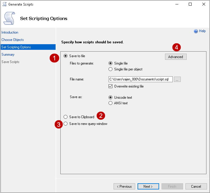 Set Scripting options