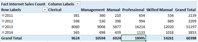 Simple Pivot table after accessing the cube.