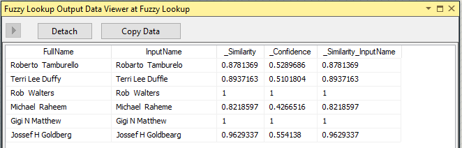 Data View afer the fuzzy lookup transformation.