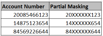 Partial Data Masking