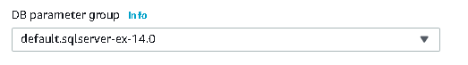 DB parameter group