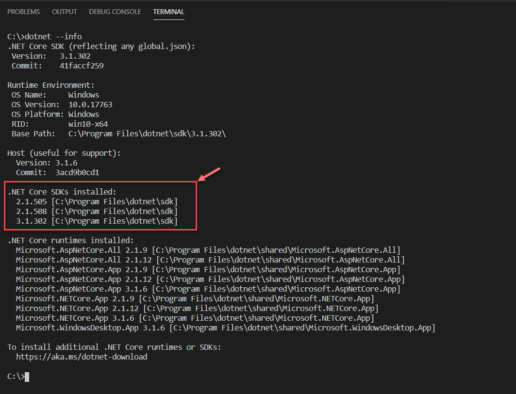 Checking the Dotnet Core SDK version