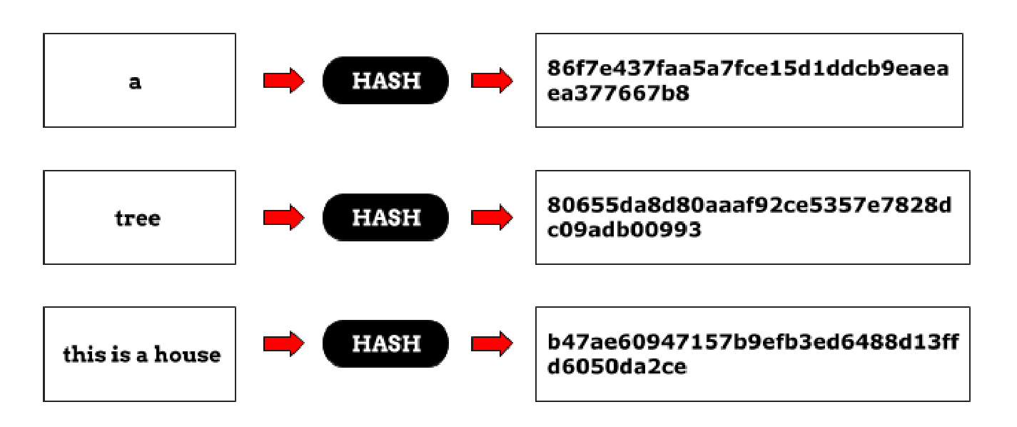 hash-function-youtube