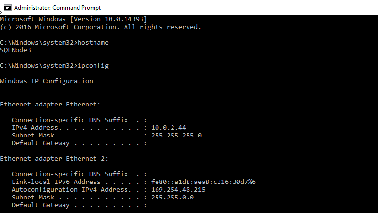 Hostname and IP Verification