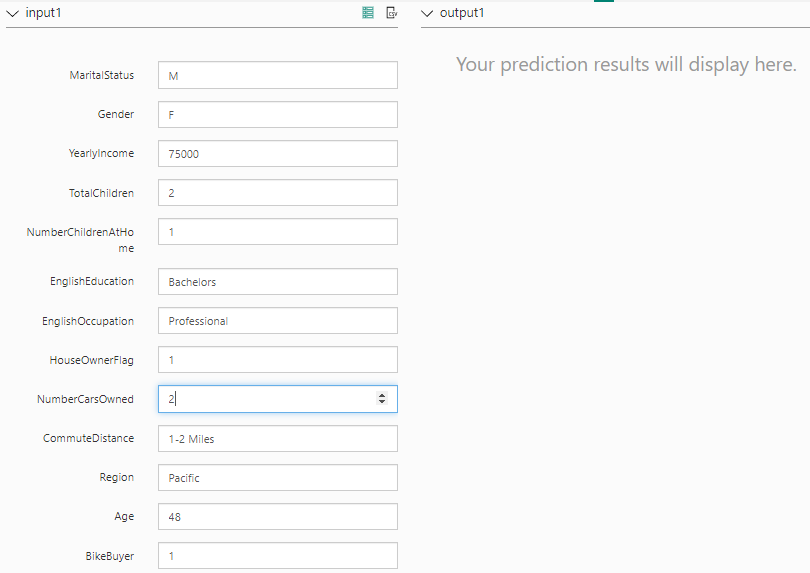 Providing Inputs to prediction. 