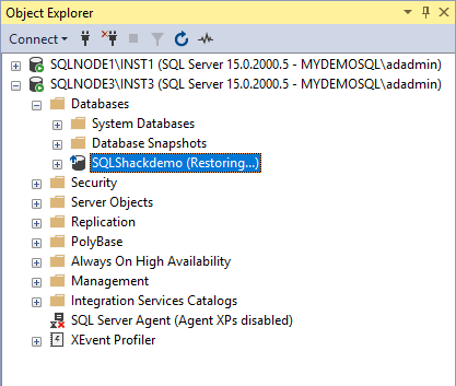 Restore database into secondary node