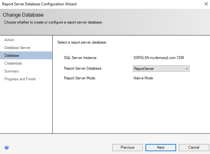 the report server database 