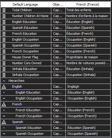 Adding translation to the customer dimension in French