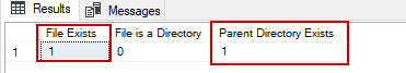 Interpreting the File Exist column 